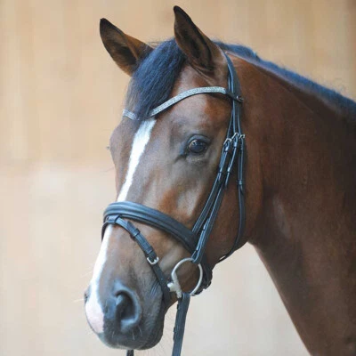 Kavalkade schwarze Leder Trense mit Glitzerstirnband Ledertrense Strassstirnband