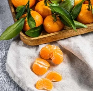 Tangerine 🍊2-4ft Tree. Self-pollinating Grafted. Ship To CA&PR. Actual Pics - Picture 1 of 2