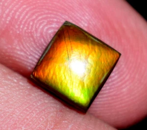 Natural Rare Ammolite Gemstone Cabochon 3.11 Ct Loose Ammolite Gemstone - Picture 1 of 5