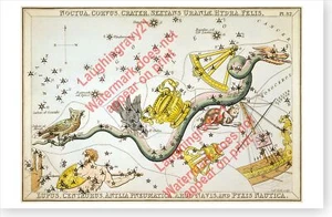 Póster de astronomía antigua Noctua, Corvus, cráter, Sextans Uraniae, Hydra, etc. - Imagen 1 de 1