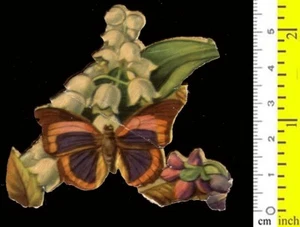 #63585 Una mariposa en flores. Cromo vintage para diarios infantiles - Imagen 1 de 2