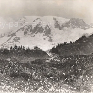 1950s Mt Rainier Peak National Park Washington Charles Phelps Cushing Photo - Picture 1 of 3