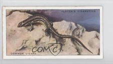 1939 Player's Animals of the Countryside Tobacco Common Lizard #40 0bn8