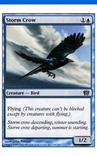 1x NM/LP FOIL STORM CROW 8TH EDITION Magic the Gathering MTG!