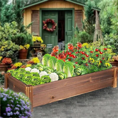 Solid Pinewood Raised Garden Bed Horticulture Elevated Planter Box Outdoor Indoo - Image 1 of 4