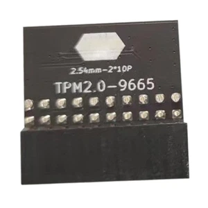 Modules de protection 20 broches métal noir pour Tpm-L R2.0 pour Gigabyte - Bild 1 von 7