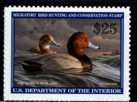 #RW89  2022 -2023 Federal Duck Stamp  - MNH Cover