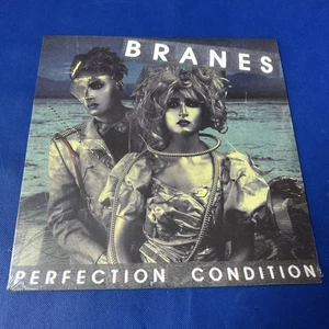#A39 Branes – Perfection Condition Sealed Vinyl - Picture 1 of 12