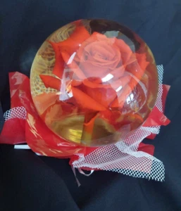 Konservierte echte rote Rose in Glas Wasserkugel Kuppel Kugel - großes 5,5" Wickelnetz - Bild 1 von 11