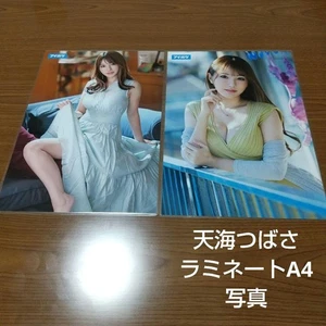 Amami Tsubasa Set fotografico in laminato A4 - Foto 1 di 3