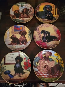 6 Limited Edition Collectible Plates Delightful Dachshunds by Susie Morton - Picture 1 of 8