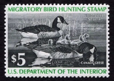 RW43 XF MNH FLAWS 1976 Canada Geese US Federal Duck Stamp Migratory Waterfowl - Image 1 of 4