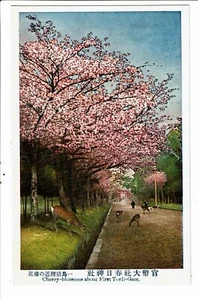 CPA-Carte postale -Japon -Cherry Blossoms about First Torii Gate VM31869 - Picture 1 of 2