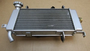 Keeway RKF 125 2023 1.024 miglia radiatore e ventola di raffreddamento (13551) - Foto 1 di 10