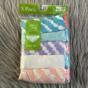 Faded Glory Underwear Girls Size 14 Multicolored Brief 5 Pack Cotton Panties - Picture 1 of 6