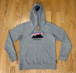 NWT Patagonia Women’s Free Hand Fitz Roy Ahnya Hoody Long Sleeve, Size Large - Picture 1 of 8