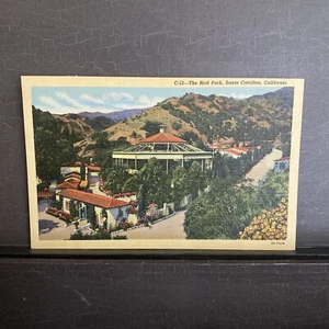 Postal de lino vintage de The Bird Park Santa Catalina California CA UNP - Imagen 1 de 2