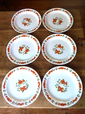 série de 6 assiettes plates arcopal France décor fleur d'oranger vintage - Photo 1/4