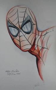 Mark Texeira Spider-Man Original Painting San Diego Comic Con Canson Board - Picture 1 of 3