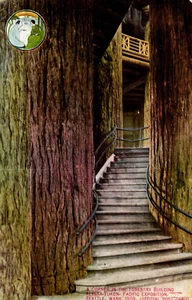 A Corner in the FORESTRY Building, 1909 ALASKA - YUKON - PACIFIC Expo Postcard - Picture 1 of 2