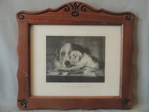 Vintage The Lion dog from Malta dog picture in a wooden frame - Picture 1 of 9