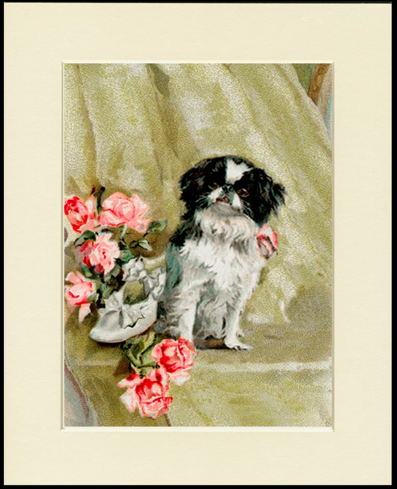 JAPANESE CHIN AND ROSES LOVELY DOG PRINT MOUNTED READY TO FRAME - Image 1 of 1