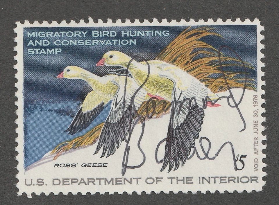 1978 United States #RW44 Used - Migratory Bird Hunting & Conservation Stamp - Image 1 of 1
