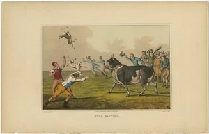 Antique Aquatint 'Bull Baiting' - Picture 1 of 1