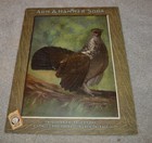 Antique Arm & Hammer Grouse Baking Powder Sign 