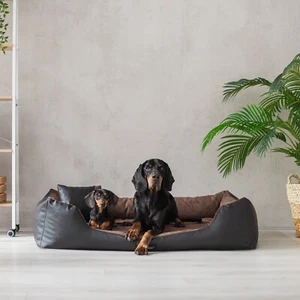 Hundebett Eden Ökoleder + Alcantara-Stoff orthopädisch Komfort 4 Größen 7 Farben - Bild 1 von 57