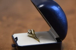 Damenring aus 585er Gold mit Brillanten – Eleganz und Stil - Bild 1 von 3