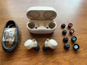 Sony WF-1000XM4 Noise Canceling Wireless Earbud Headphones WF1000XM4 Silver - Afbeelding 1 van 2