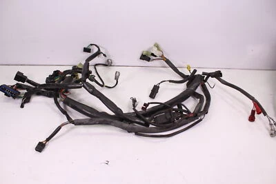 Arctic Cat M1000 2007 arnés de cables principal y manillar/cableado Foto 1 de 4