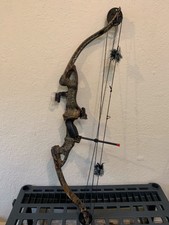 Compound In Brandgolden Eagle Draw Weight Lbs21 Ebay