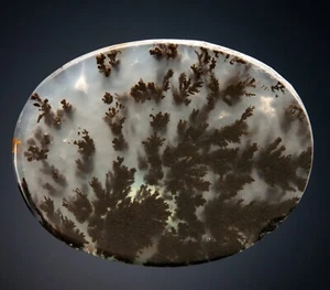 Quartz var. Plume Agate Medicine Bow Mountains, Wyoming 2104-036 - Picture 1 of 3