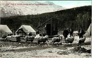 FAIRBANKS ALASKA ZIEGE TEAM IM KUPFERBERGBAULAGER ALTE POSTKARTE ANSICHT - Bild 1 von 2