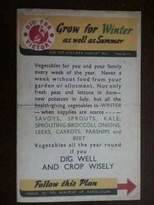 Segunda Guerra Mundial: cavar para la victoria: crecer tanto para invierno como para verano: plan de cultivo interior - Imagen 1 de 8