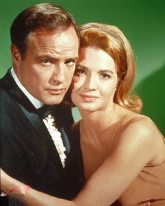 Marlon Brando & Angie Dickinson [1002353] 8x10 photo (other sizes available)