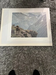 Robert BATEMAN High Country Stone Sheep Limited Edition art print MINT  595/950 - Picture 1 of 21