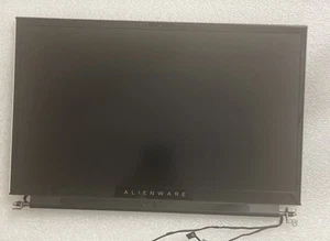 DELL ALIENWARE M17 R4 17.3" FHD IPS NON-TOUCH LCD SCREEN ASSEMBLY DD4YY S1 L7 - Afbeelding 1 van 16
