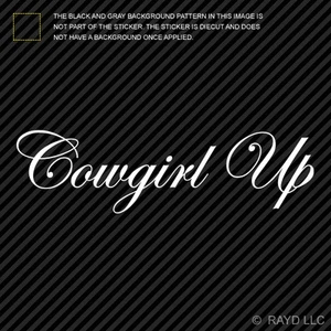 (2x) Cowgirl Up Sticker Die Cut Decal Self Adhesive Vinyl country - Picture 1 of 1
