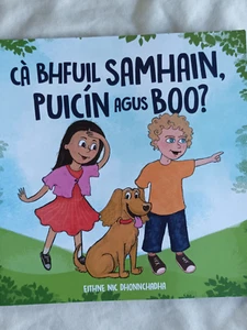 Rare Irish Kids Book | Samhain Puicin Boo | Gaeilge Lost Cat Story | OOP - Picture 1 of 3