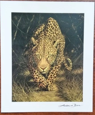 “Silent Stalker”,Andrew Bone 彩色系列摄影,81⁄2 x 7 英寸 (2013) — 第 1/3 张图片