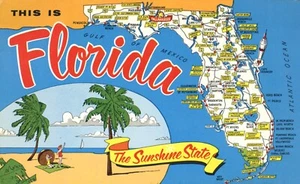 This is Florida Cartoon Beach Scene Map 1973 Postcard - Picture 1 of 2