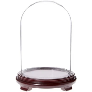 Cúpula de exhibición de vidrio Plymor de 8" x 12" (base con patas de chapa de madera roja) - Imagen 1 de 1