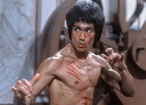 Reimpresión de artes marciales de colección de Bruce Lee - Leyenda de Kung Fu - Foto brillante 11x14 - Imagen 1 de 4