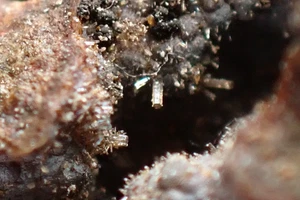 OFFRETITE * FINE CRYSTALS ON MATRIX !!! Vinarice, CZECH REPUBLIC - Picture 1 of 16