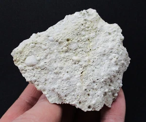 +++ Aragonita "piedra de guisante" -- Tirol del Sur, Italia +++ Pisolith pisolite - Imagen 1 de 4