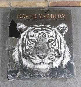 David Yarrow Fotografie: Amerika Afrika Antarktis Arktis Asien Europa - versiegelt - Bild 1 von 10