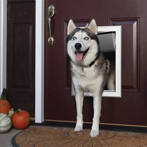 20*14 Aluminio Grande Mascotas Perros Puerta Doble Solapa Magnético Bloqueable Pantalla Marco L - Imagen 1 de 12